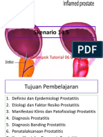 Prostatitis PDF