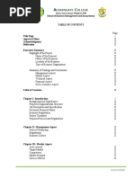 FEASIB-OUTLINE