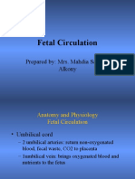 Human Fetal Circulation For Nursing