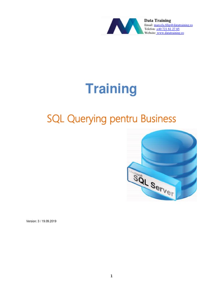 Training SQL Querying Pentru Business | PDF