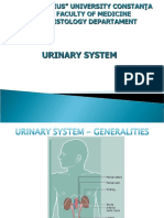 Lp8.urinary System