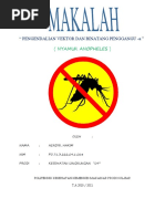 Download Makalah ian Vektor Dan Binatang Penggangu by -Nasruddin Arif Ince Sangaji SN45379295 doc pdf