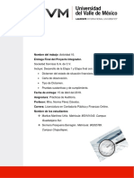 A#10 Proyecto Integrador Entrega Final Prácticas de Auditoría - MMU, SPB PDF