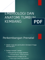 Embriologi Dan Anatomi Tumbuh Kembang