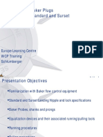 Baker Flow Control Devices PDF