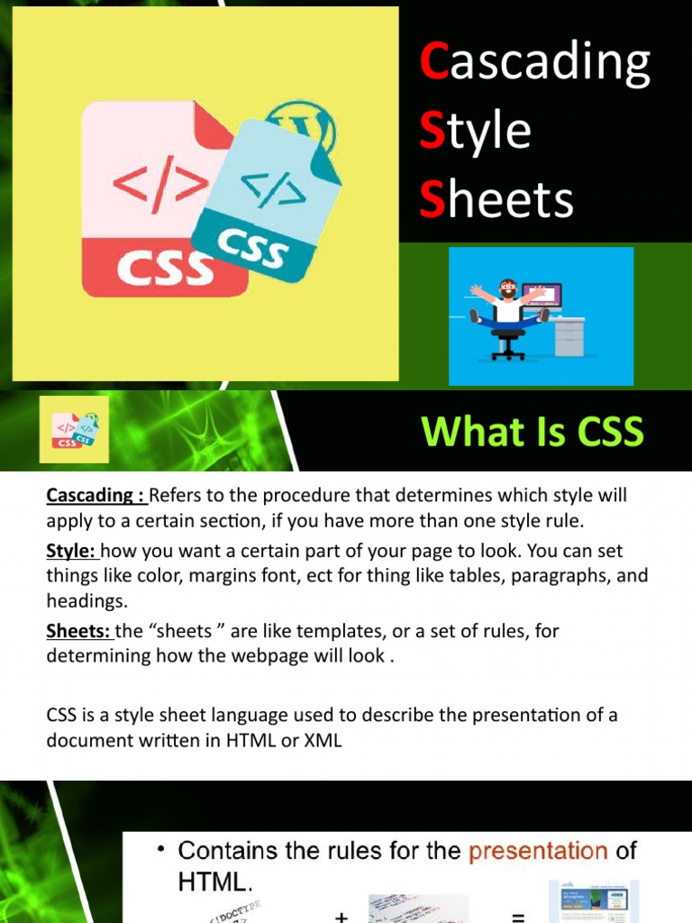CSS Report | PDF