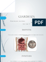 Giardiaza