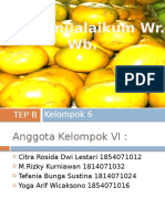 Aa Tugas TPP P Kelompok 6