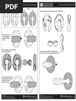 Twist Solution (ENG) PDF