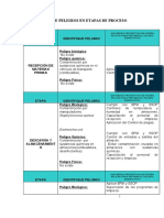 Analisis de Peligros - Durante El Proceso