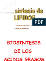 biosintesis de lipidos 2919 UPT-MEDICINA (1)