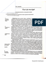 Flori de Mucigai, de T - Arghezi PDF