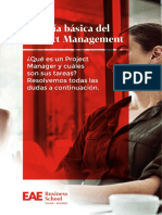 La Guía Básica Del Project Management