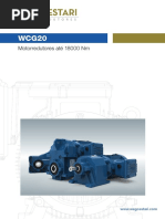 Catalogo WCG20 1