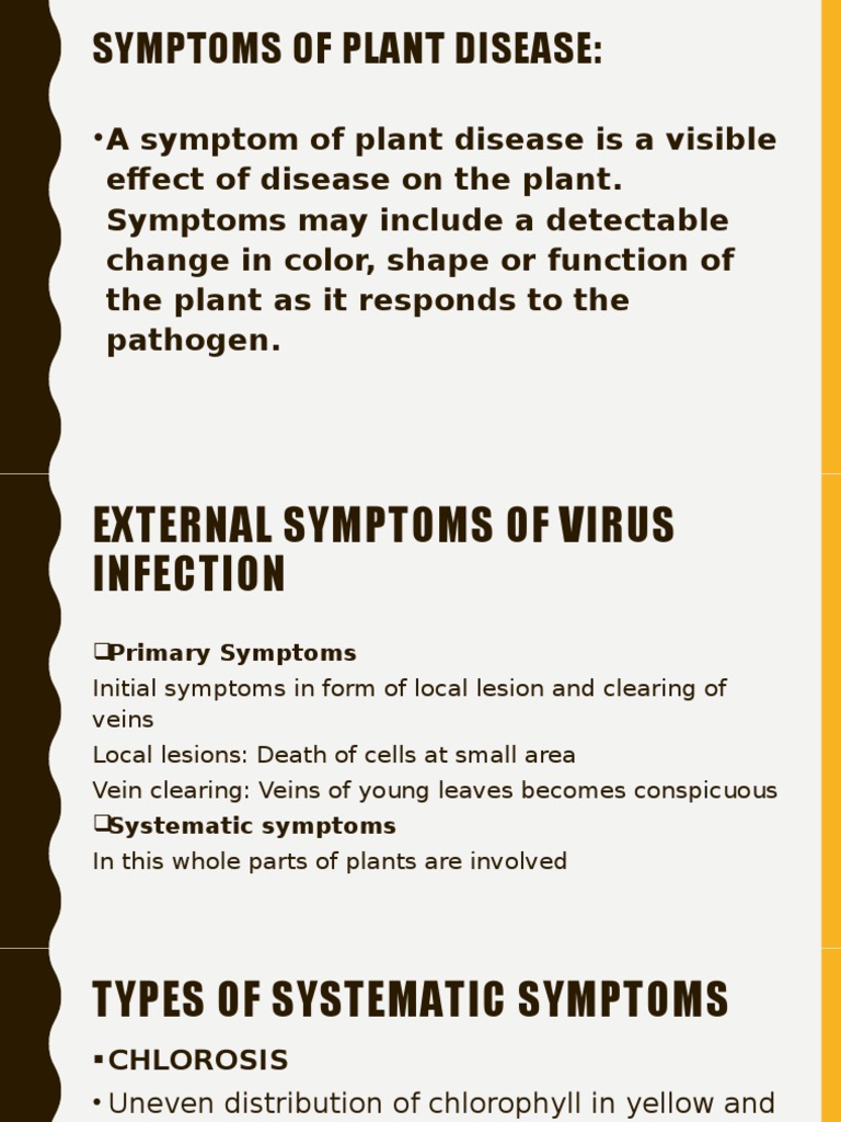 Symptoms of Virus Infected Plants and Their Specimen-1 | PDF | Necrosis ...