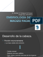 Embriologia Bucomaxilofacial PDF