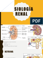 FISIOLOGÍA RENAL: FILTRACIÓN, REABSORCIÓN Y EXCRECIÓN