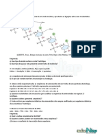 DNA E RNA.pdf