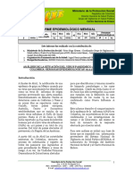 Informe Epidemiologico 5 de 2009 - A H1N1 PDF