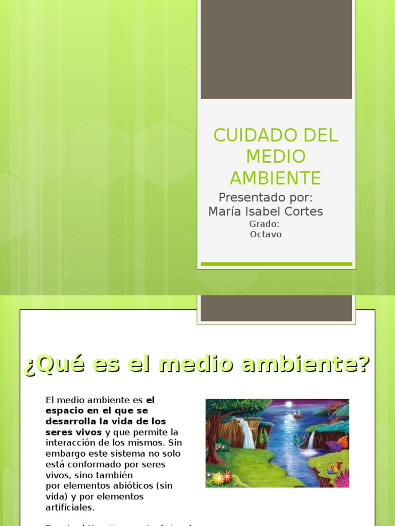 Cuidado Del Medio Ambiente | PDF | Hogar, jardinería y bricolaje
