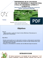 Extracción de nicotina de hojas de tabaco para la producción de insecticidas