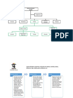 Organigrama Flujograma COLPER