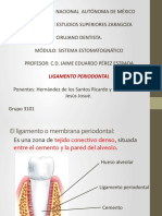 4.2.6 ligamento periodontal 2.pdf