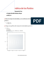 Taller Cinematica de Los Fluidos