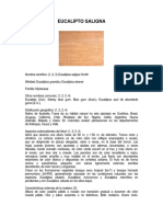 Eucalipto%20saligna propieddaes fisicas y mecanicas.pdf