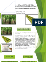 STUDY OF BIOLOGICAL AGENTS AND UREA FERTILIZER ON.pptx