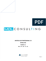 Sap Professional 20 Pratica2 MM PP SD Fi Co v11 PDF