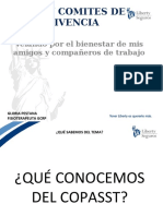 Sensibilizacion Copasst y Comite de Convivencia