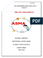 Crisis Asmatica 2