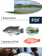 Aquaculture