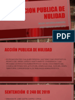 Accion Publica de Nulidad