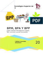 reporte de investigacion BPM, BPA Y BPP