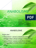 Anabolisme