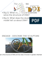 NGSS - Structure of DNA 2