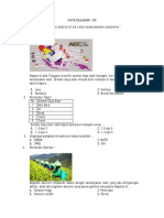 IPS Soal PDF