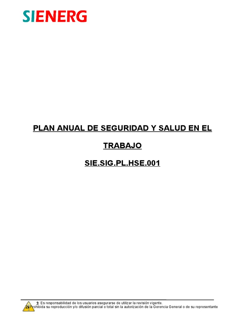 Plan Anual de Seguridad y Salud Laboral | PDF | Calidad (comercial ...