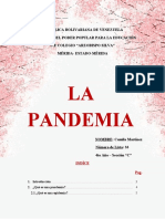 La Pandemia Trabajo Con Coronavirus