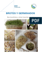 Germinados y Brotes 2019 PDF