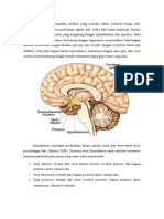 Hipotalamus dan perdarahannya