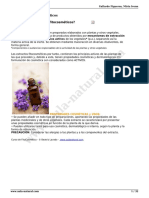 Vdocuments - MX - 2 Extractos Vegetalesgeneralidades 1 PDF