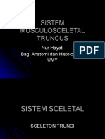 8 Sist Musculosceletal Truncus