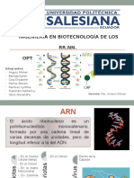 ARN (2).pptx