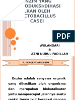 Enzim Lactobacillus Casei