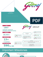 Godrej Group Portfolio Analysis