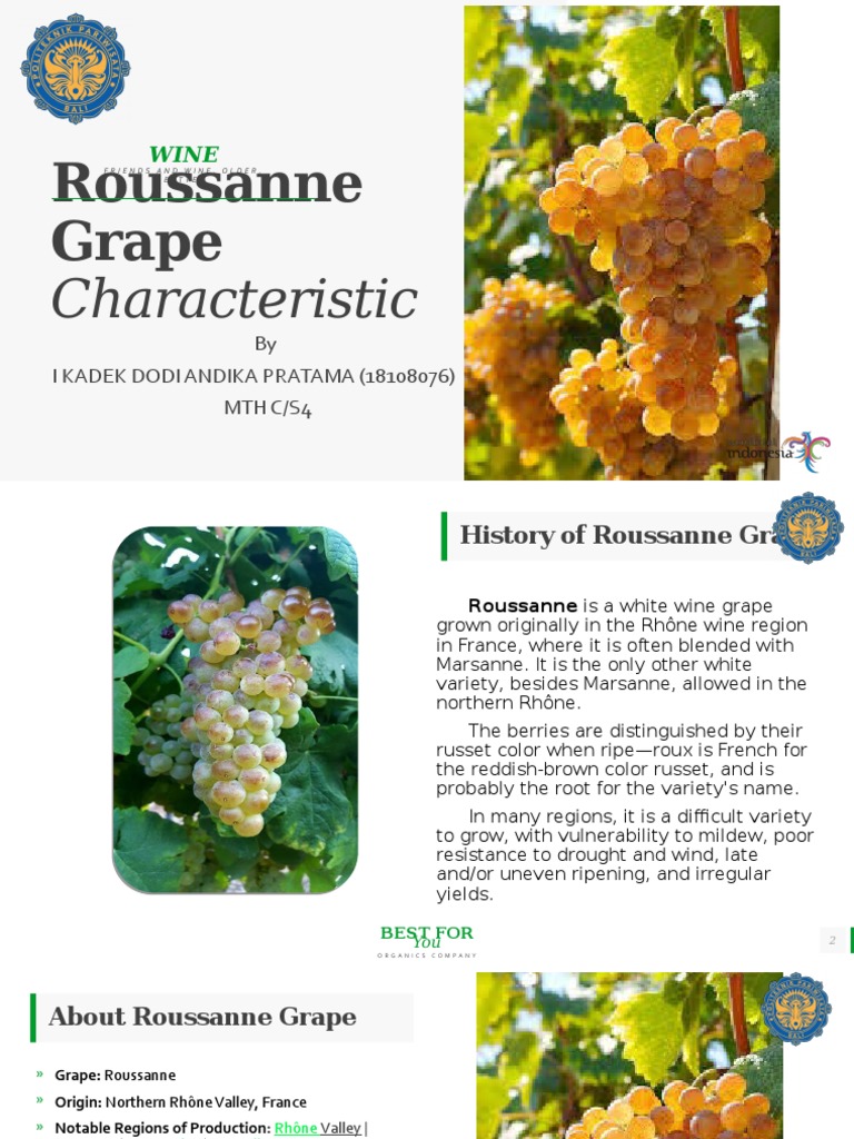 Roussanne Grape Characteristic PDF Grape Wine