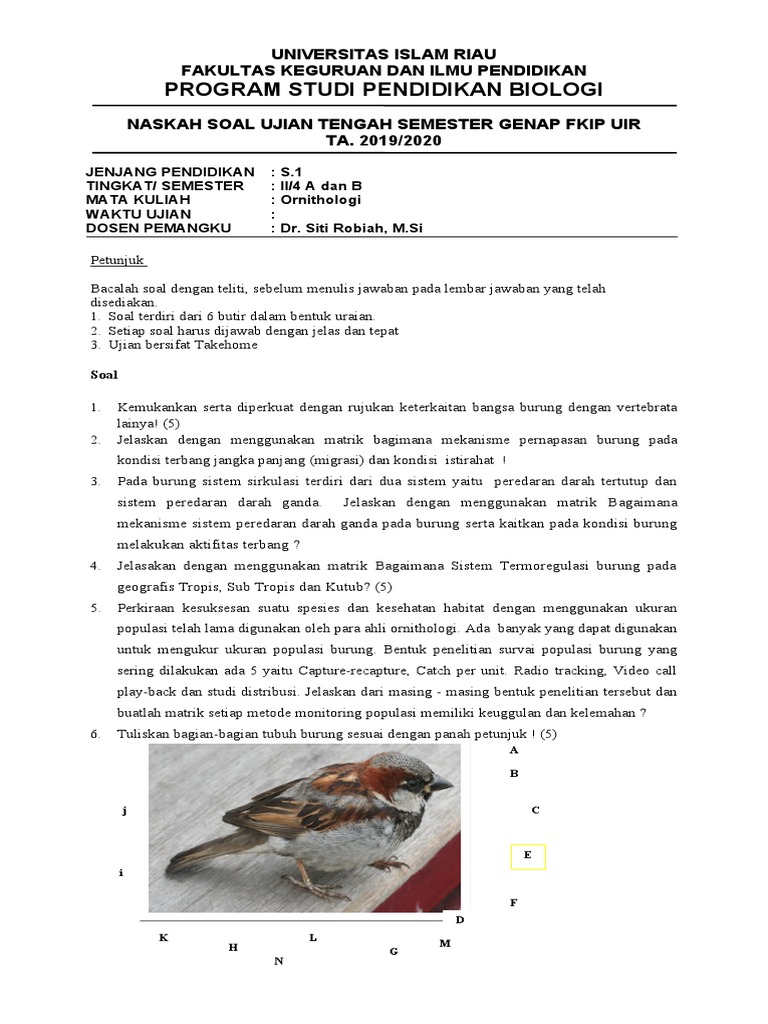 Soal Tes Masuk Universitas Islam Riau Guru Galeri